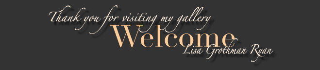 welcome to my gallery Lisa Grothman Ryan